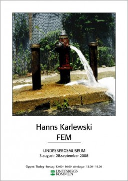 FEM