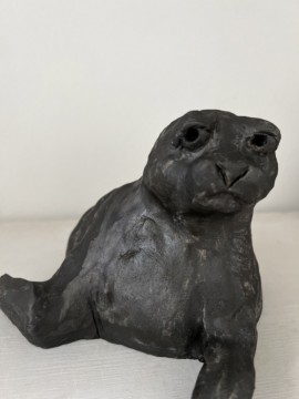 Grey seal