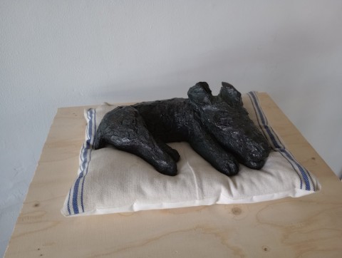Siesta
